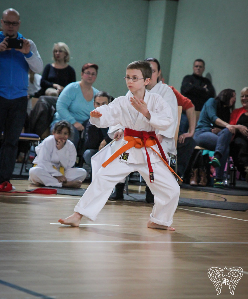 IMG-7946.jpg