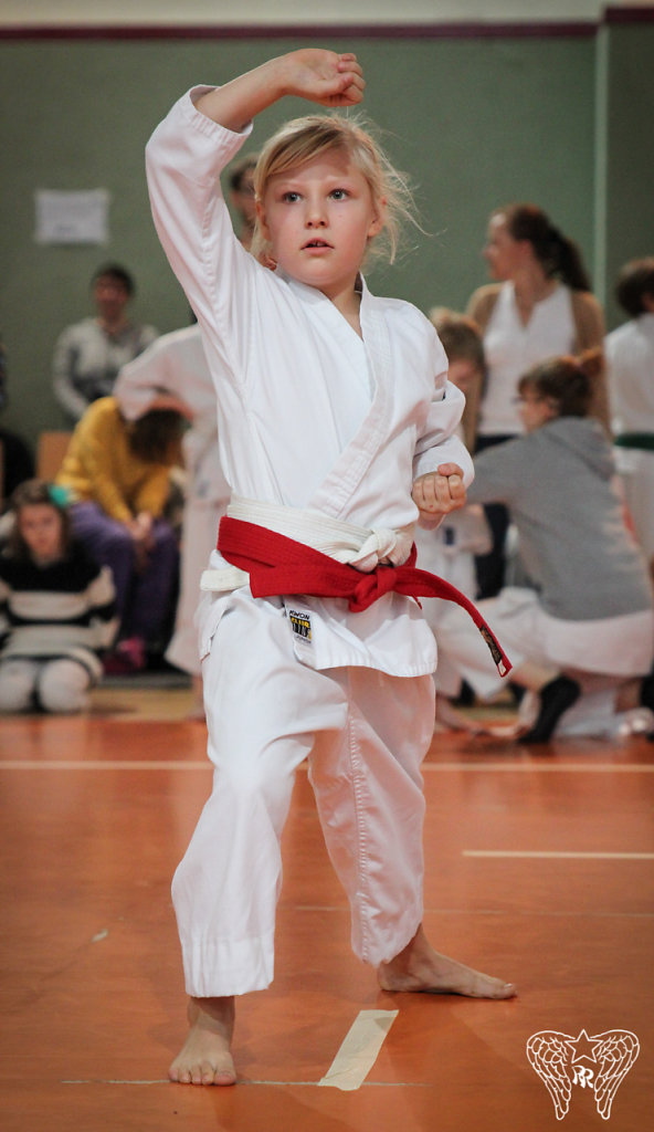 IMG-8067.jpg