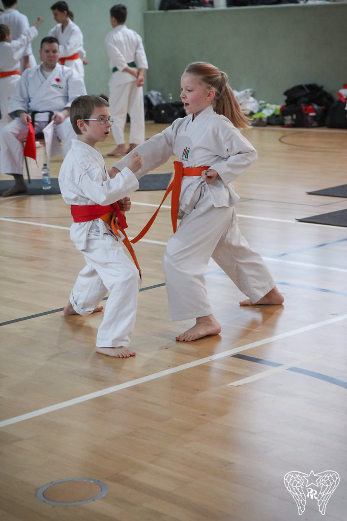 IMG-8359.jpg