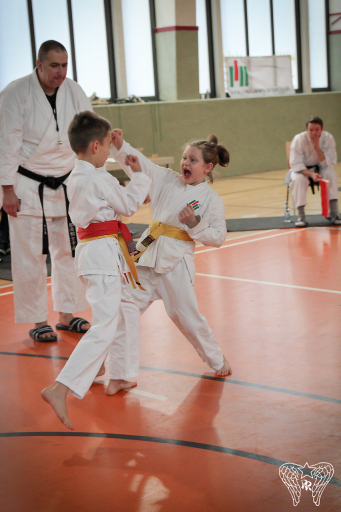IMG-8364.jpg