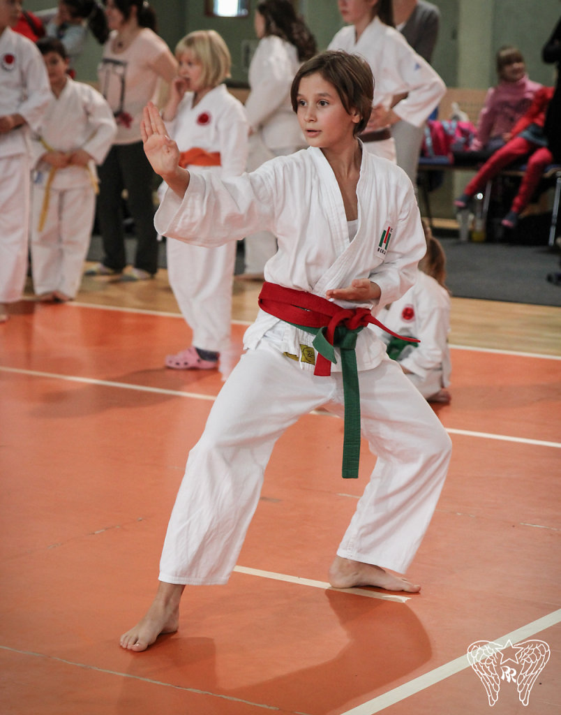 IMG-8773.jpg