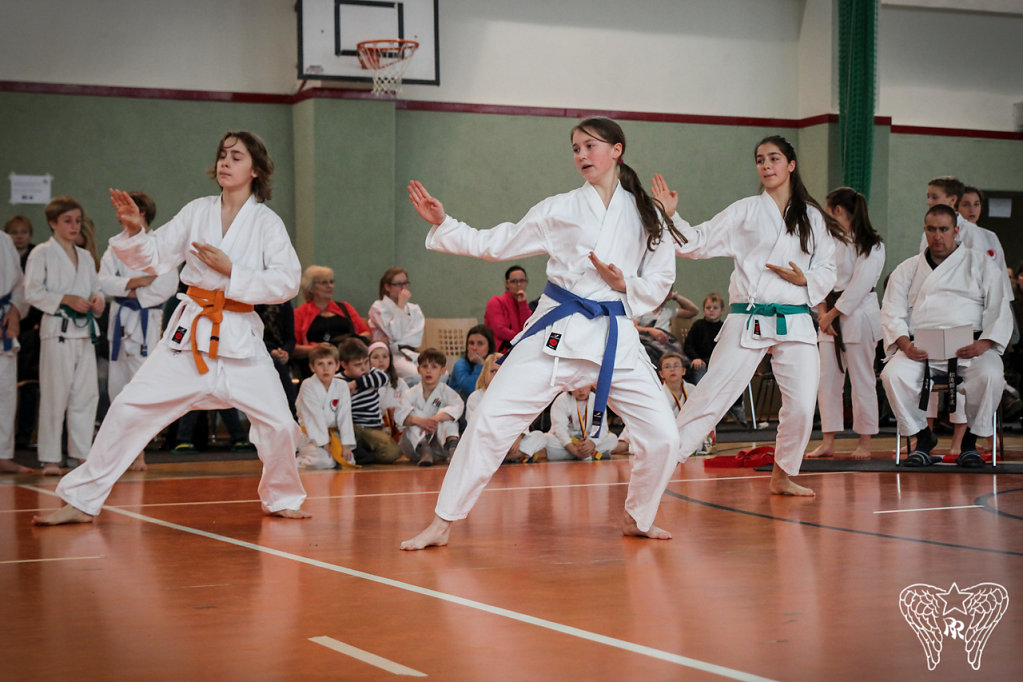 IMG-9247.jpg