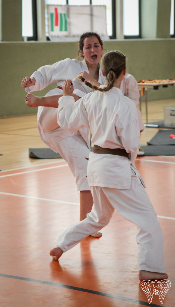 IMG-9546.jpg