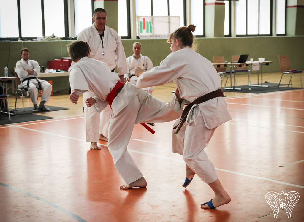 IMG-9569.jpg